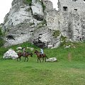 Podzamcze Ogrodzieniec