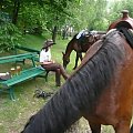 Morsko