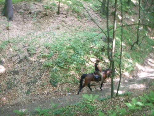 Dolina Racławki 08.06.08