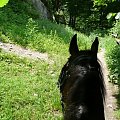 Morsko - obowiązkowa runda dookoła zamku