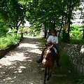 Morsko
