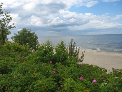 Plaża w Stegnie.