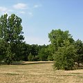 Jezioro Strzeszyńskie w Poznaniu i otoczenie.