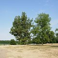 Jezioro Strzeszyńskie w Poznaniu i otoczenie.