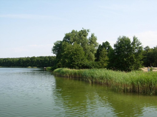 Jezioro Strzeszyńskie w Poznaniu i otoczenie.