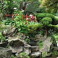 Japanese Gardens w Kildare