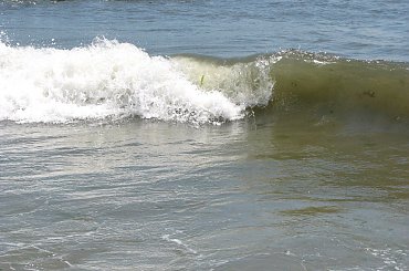 Lato,lipiec plaża... #ocean #fale #mewy #muszle #plażowicze