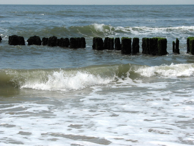 Lato,lipiec,plaża #lato #lipiec #ocean #cepelin #SkarbyPlaży #mewy #fale #muszle #plażowicze