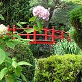 Japanese Gardens w Kildare