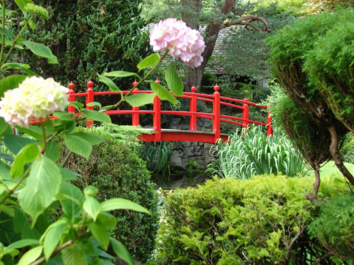 Japanese Gardens w Kildare