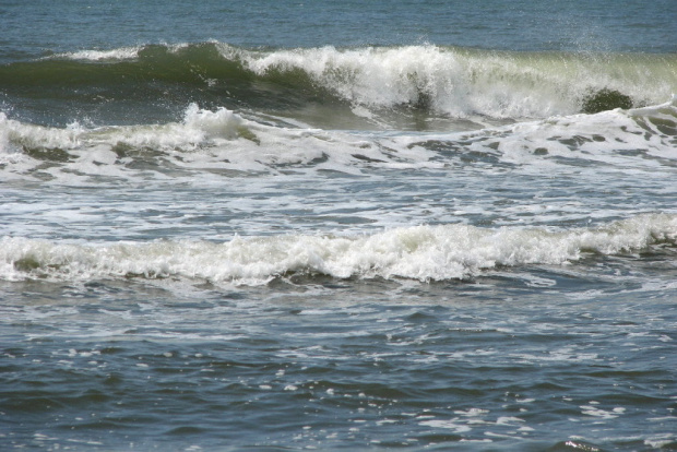 Lato,lipiec plaża... #ocean #fale #mewy #muszle #plażowicze