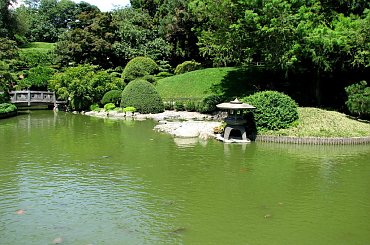 Spacerkiem po ogrodzie #ryby #motyl #osy