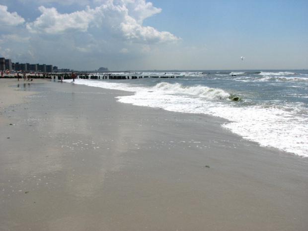Lato,lipiec,plaża #lato #lipiec #ocean #cepelin #SkarbyPlaży #mewy #fale #muszle #plażowicze