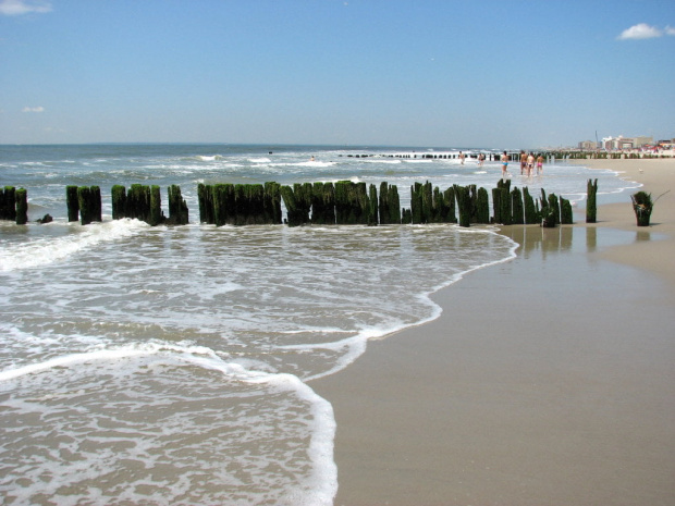 Lato,lipiec,plaża #lato #lipiec #ocean #cepelin #SkarbyPlaży #mewy #fale #muszle #plażowicze