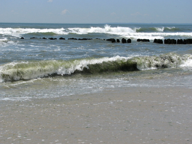 Lato,lipiec plaża... #ocean #fale #mewy #muszle #plażowicze