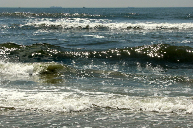 Lato,lipiec plaża... #ocean #fale #mewy #muszle #plażowicze