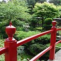 Japanese Gardens w Kildare