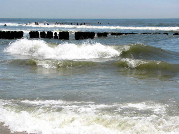 Lato,lipiec plaża... #ocean #fale #mewy #muszle #plażowicze