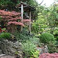 Japanese Gardens w Kildare