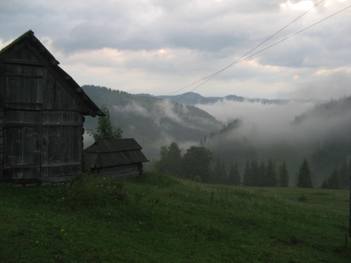 Wieczorne mgły.