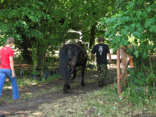 09-07-2008 #konie #Piskorzyna #fundacjatara