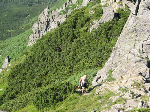 Na Wielkich Kozłach.