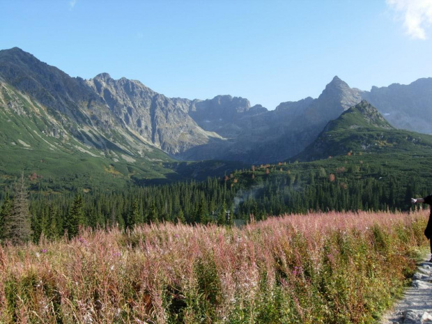 Tatry wysokie widziane z drogi do Murowańca