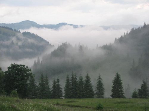 Mgły nad Dżembronią.