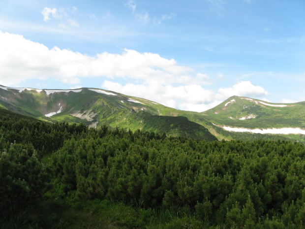 Ku Turkułowi, Kozłom.