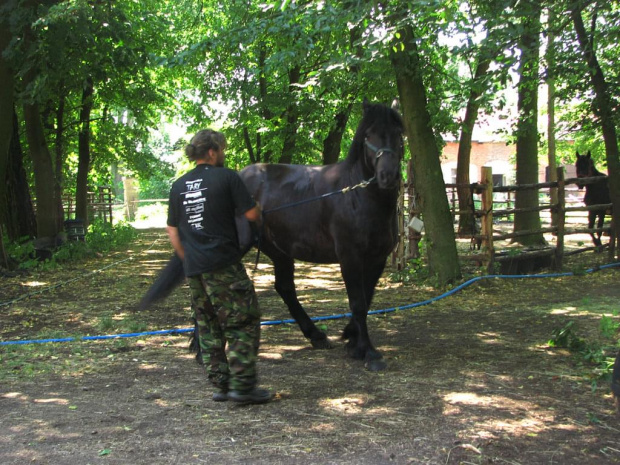 09-07-2008 #konie #Piskorzyna #fundacjatara