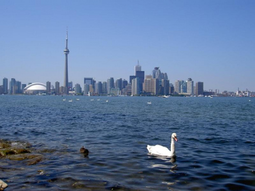 moje miasto Toronto #miasto #Toronto #lipiec #lato #jezioro #prom #wyspa #wieza