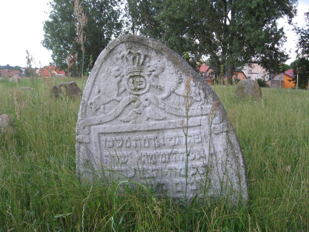 Łomża 2008