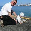 Iraklion, nabrzeże portu weneckiego