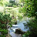 Japanese Gardens w Kildare