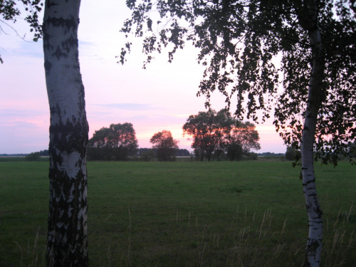 Brzeziny, starorzecze Narwi