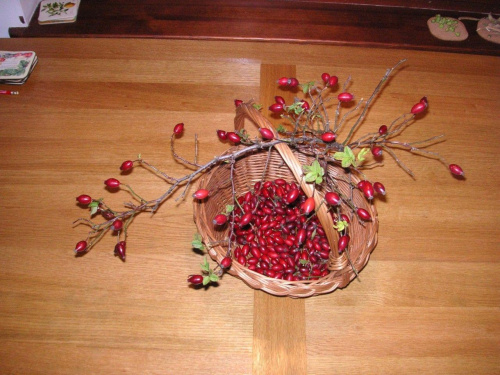 Jesień - zebrane owoce przydrożnej róży (z lampą)