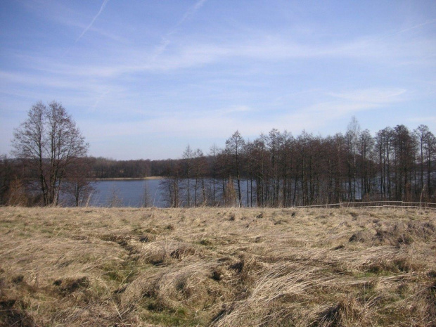 Jezioro - widok z łąki