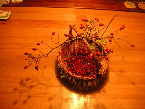 Jesień - zebrane owoce przydrożnej róży (bez lampy)