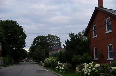 jak dobrze wstac skoro swit......jutrzenki blask........:) #swit #MojDom #hortensje #sierpien