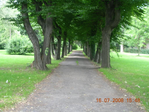 park pałacowy