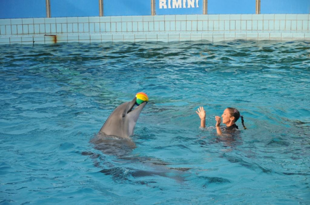 Pokaz delfinów w Delfinarium w Rimini. Treserka gra w piłkę z jednym z delfinów.