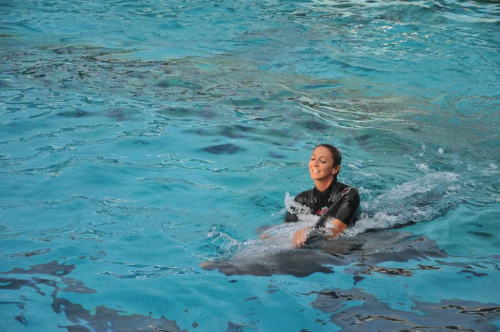 Pokaz delfinów w Delfinarium w Rimini. Treserka trzyma się płetw delfina, który ją holuje.