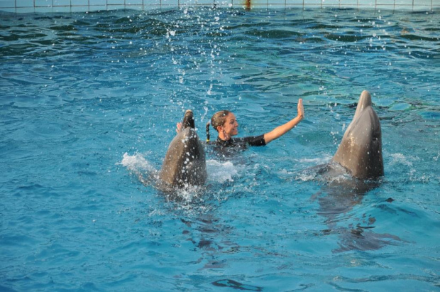 Pokaz delfinów w Delfinarium w Rimini. Treserka wskoczyla do wody i zaczęła taniec z delfinami.