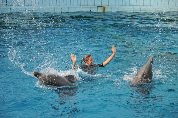 Pokaz delfinów w Delfinarium w Rimini. Treserka wskoczyla do wody i zaczęła taniec z delfinami.