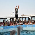 Pokaz delfinów w Delfinarium w Rimini. Treserka bawi się z delfinami.