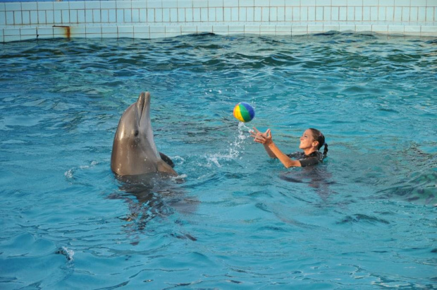 Pokaz delfinów w Delfinarium w Rimini. Treserka gra w piłkę z jednym z delfinów.