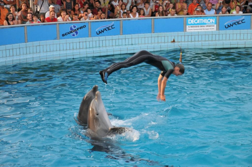 Pokaz delfinów w Delfinarium w Rimini. Treserka bawi się z delfinami.