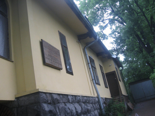 Zakopane 2008, jednoświatowe warsztaty artystyczno - edukacyjno - turystyczno - terapeutyczne