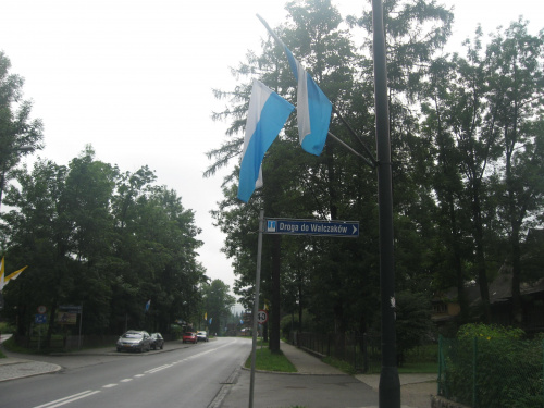 Zakopane 2008, jednoświatowe warsztaty artystyczno - edukacyjno - turystyczno - terapeutyczne