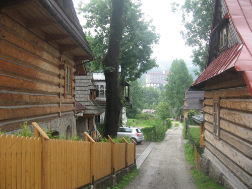 Zakopane 2008, jednoświatowe warsztaty artystyczno - edukacyjno - turystyczno - terapeutyczne